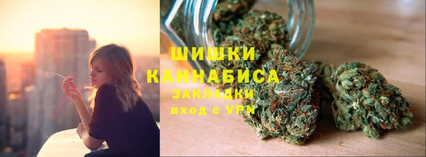 прущие грибы Алзамай
