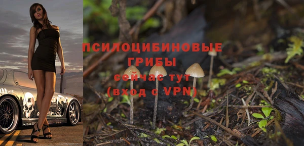 прущие грибы Алзамай