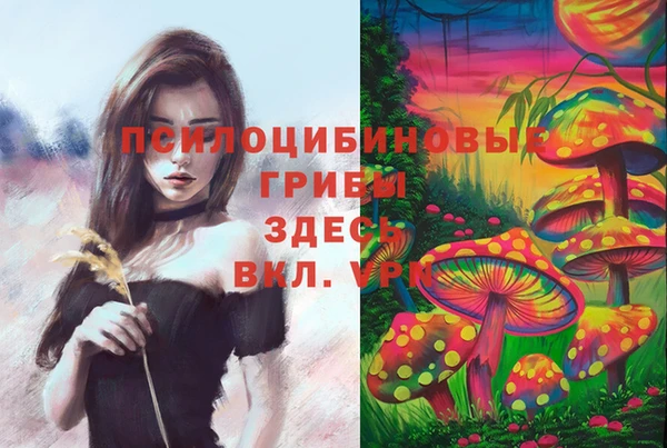 кокс Алексеевка
