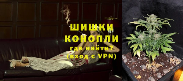 трава Аркадак