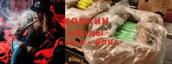 прущие грибы Алзамай